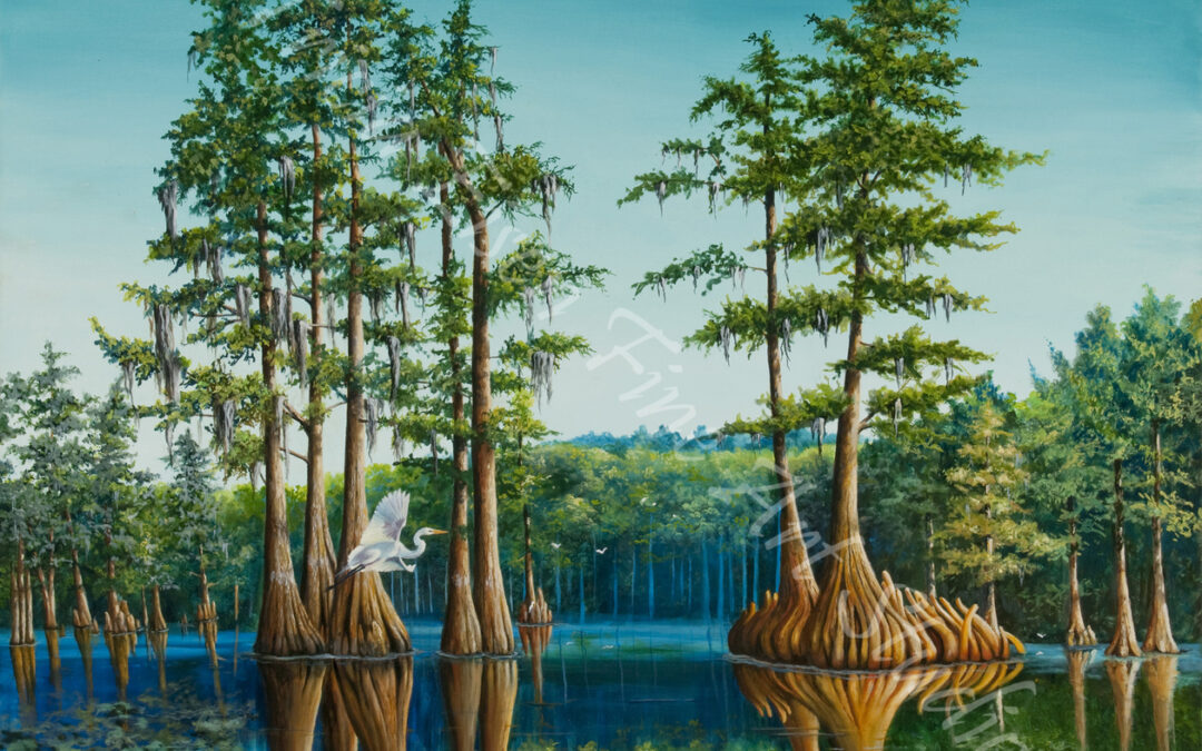 Blue Cypress Lake